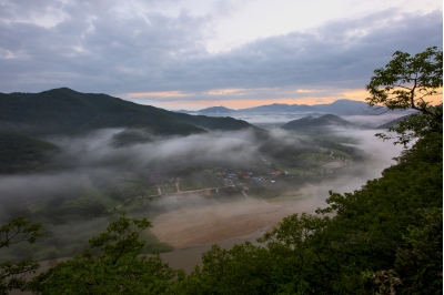 대표사진